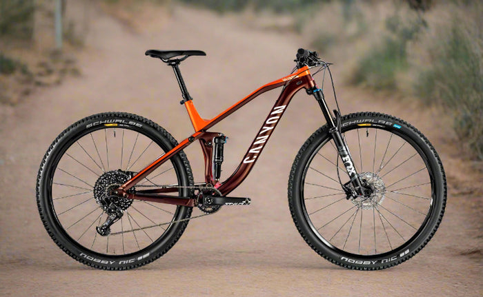 mtb bike rental