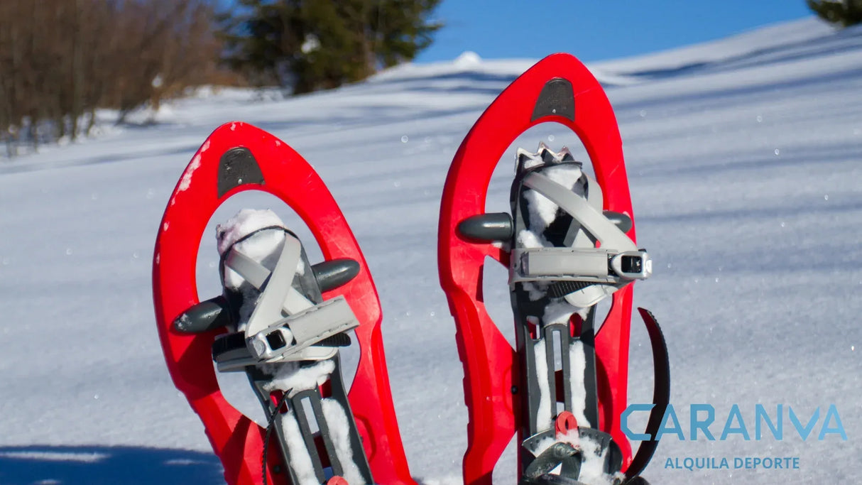Alquiler Esquís El Tarter Andorra - Raquetas / Intermedio / All Mountain / Completo - Caranva