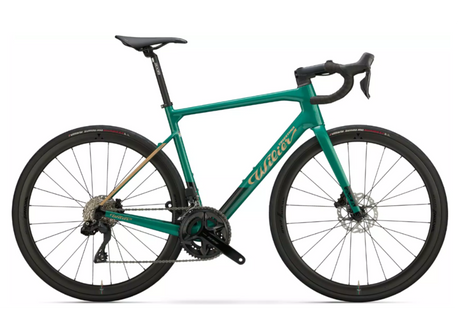 Alquiler Bici Carretera Girona